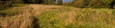 Enclosed Farmland