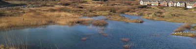 wetland