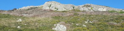 uplands
