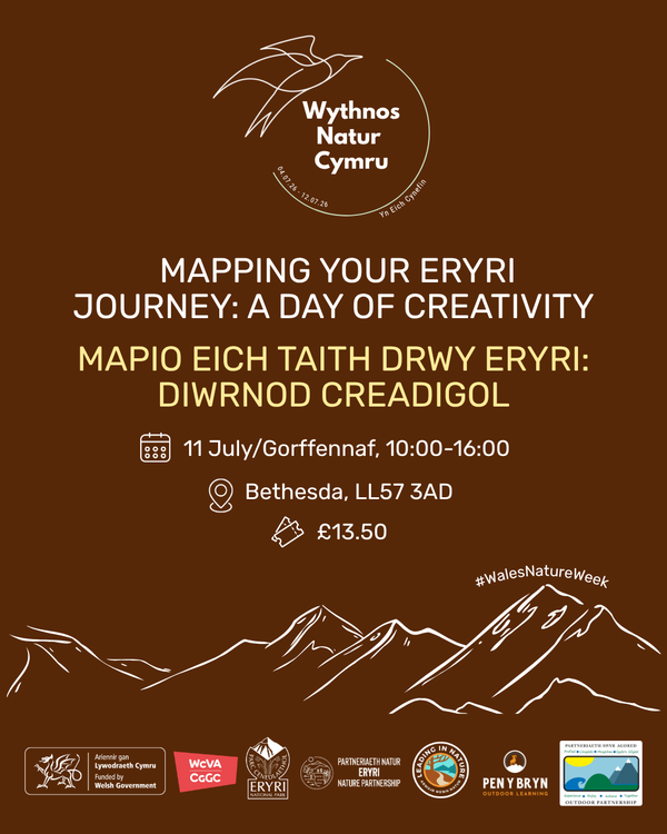 11 Jul Mapping Eryri
