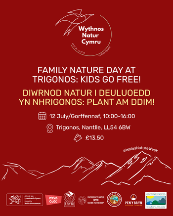 12 Jul Family Day SOCIALS