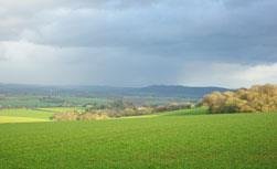 Enclosed Farmland