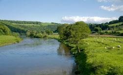 freshwater