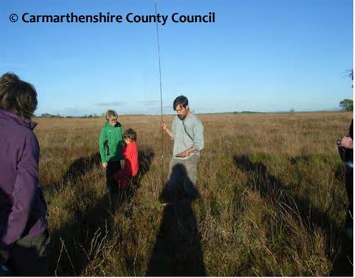wetland field work