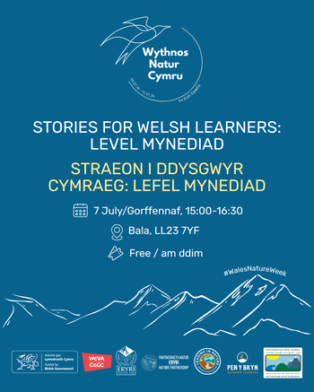 7 Jul Straeon Mynediad