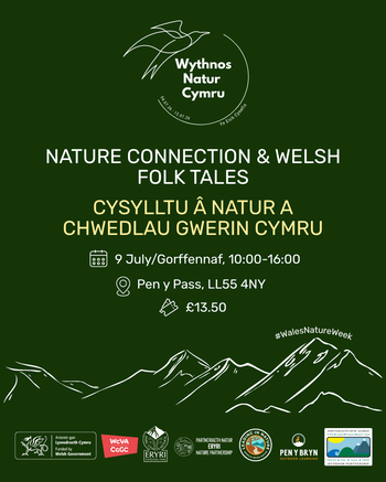 9 Jul Llyn Llydaw