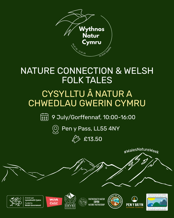 9 Jul Llyn Llydaw