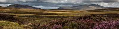 Arenig-Fawr--Migneint-Alun-Williams