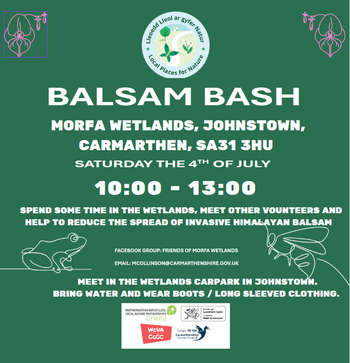 Balslam bash Morfa 04.07.2026