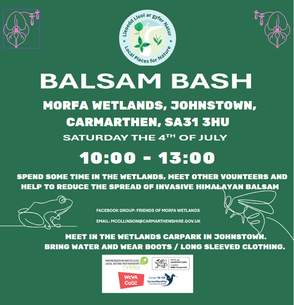 Balslam bash Morfa 04.07.2026