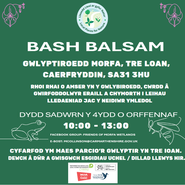 Balslam bash Morfa Cym 04.07.2026