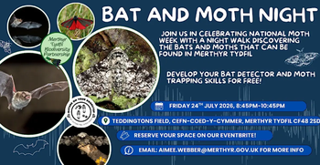 Bat Night Cefn Coed