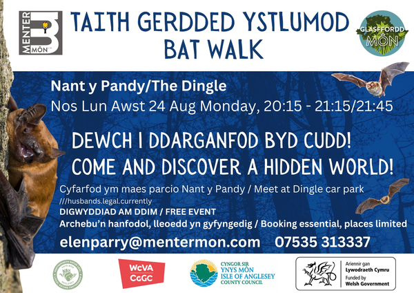 Bat Walk Anglesey