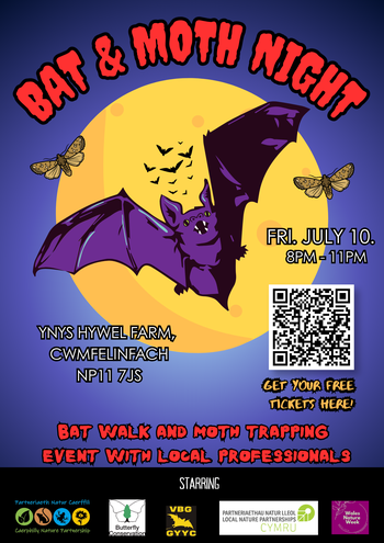 Bat & Moth Night