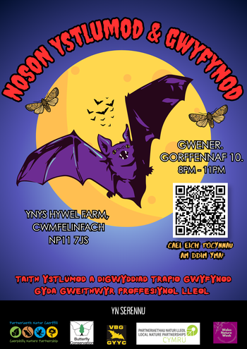 Bat & Moth Night CYM
