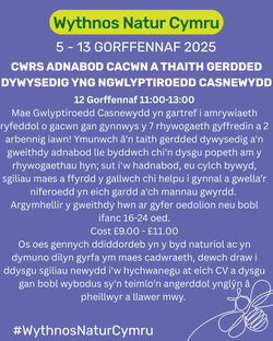 Cwrs Adnabod Cacwn a Thaith Gerdded Dywysedig yng Ngwlyptiroedd Casnewydd