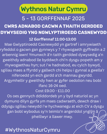 Cwrs Adnabod Cacwn a Thaith Gerdded Dywysedig yng Ngwlyptiroedd Casnewydd