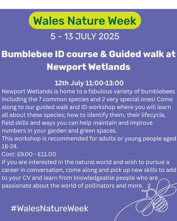 Bumblebee ID course and Guided walk at Newport Wetlands