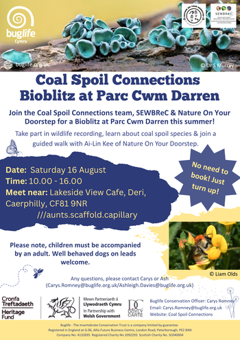 Bioblitz P Cwm Darren Coal Spoil Connections - English Poster (4)