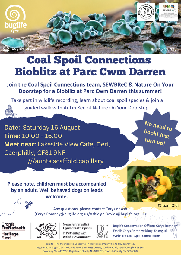 Bioblitz P Cwm Darren Coal Spoil Connections - English Poster (4)