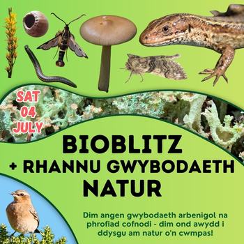 Bioblitz  Rhannu Gwybodaeth Natur