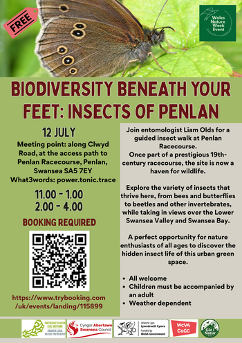 Biodiversity beneath your feet insects of Penlan_English