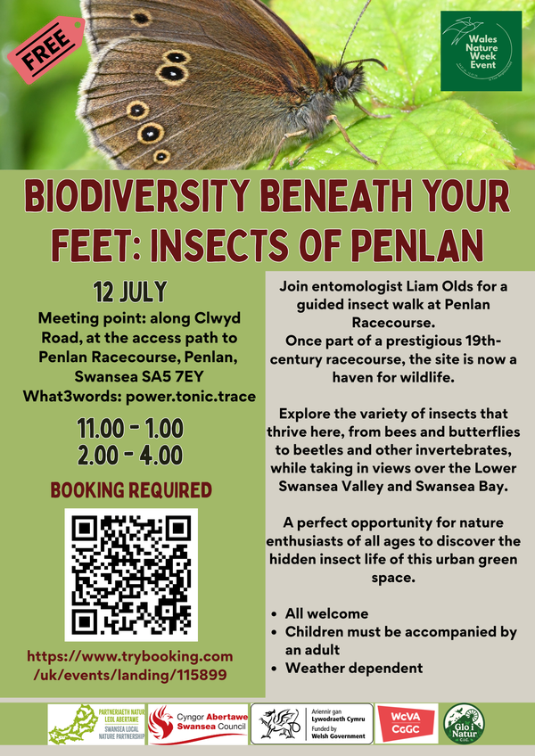 Biodiversity beneath your feet insects of Penlan_English