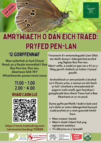 Biodiversity beneath your feet insects of Penlan_Cymraeg
