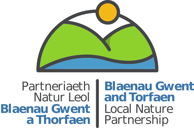Blaenau Gwent
