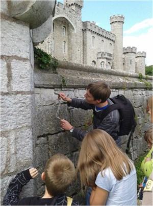 Bodelwyddan Castle Bioblitz
