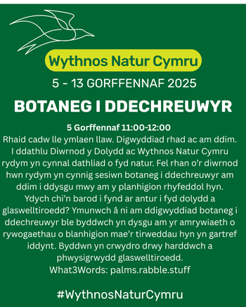 Botaneg i Ddechreuwyr