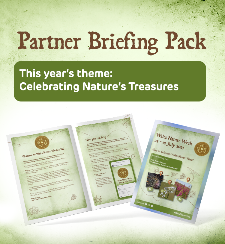Briefing pack