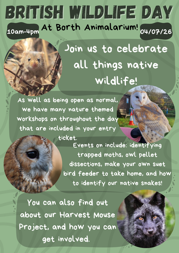 British Wildlife Day