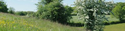 Brockwells-Meadows-Sean-McHugh