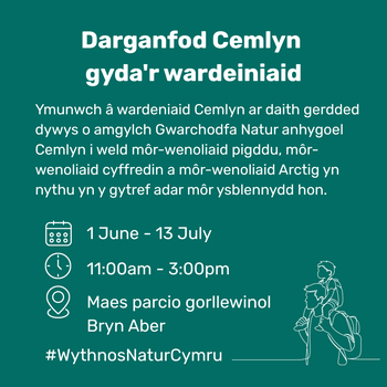 Darganfod Cemlyn gyda'r wardeiniaid