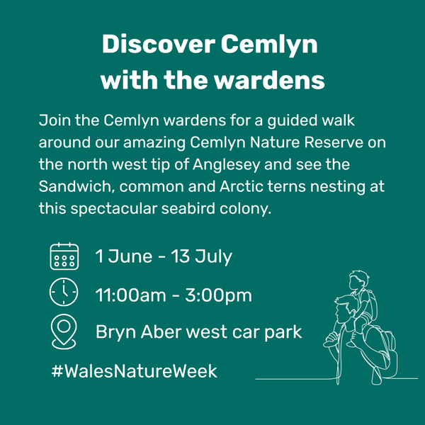 Discover Cemlyn with the wardens
