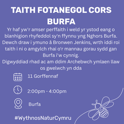 Taith Fotanegol Cors Burfa