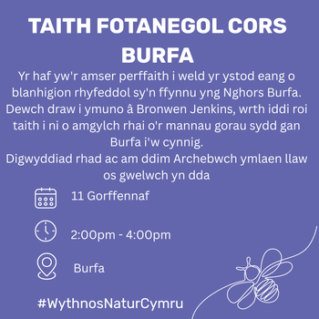 Taith Fotanegol Cors Burfa