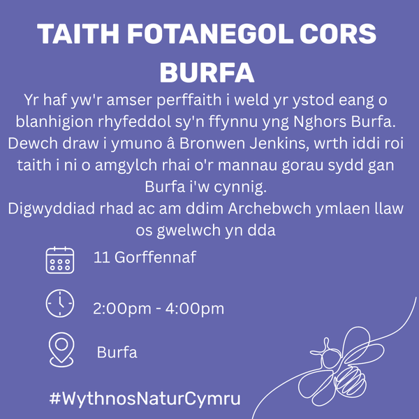 Taith Fotanegol Cors Burfa