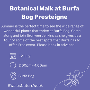 Botanical Walk at Burfa Bog