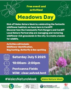 Cardiff Meadows Day