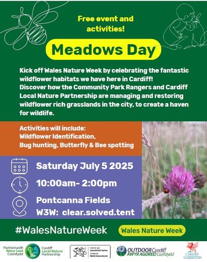 Cardiff Meadows Day