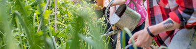 Caring for the Community Garden