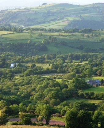 Carms landscape