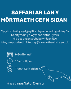 Cefn Sidan