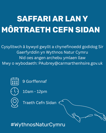 Cefn Sidan