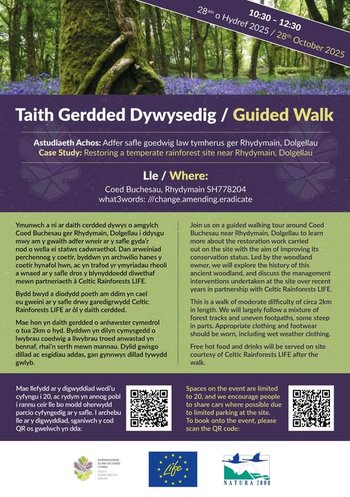 Celtic Rainforest event