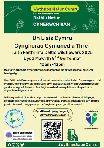 Taith Feithrinfa Celtic Wildflowers