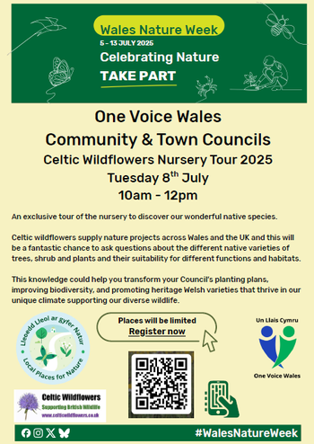 Celtic Wildflowers Nursery Tour