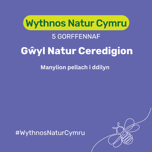 Ceredgion Nature Festival place holder Cym